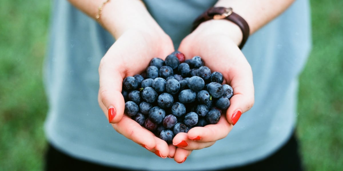 Os mirtilos são ricos em antioxidantes que podem fortalecer o seu sistema imunitário