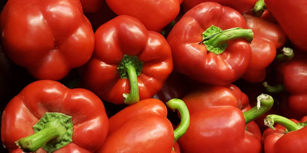 Pimentos vermelhos