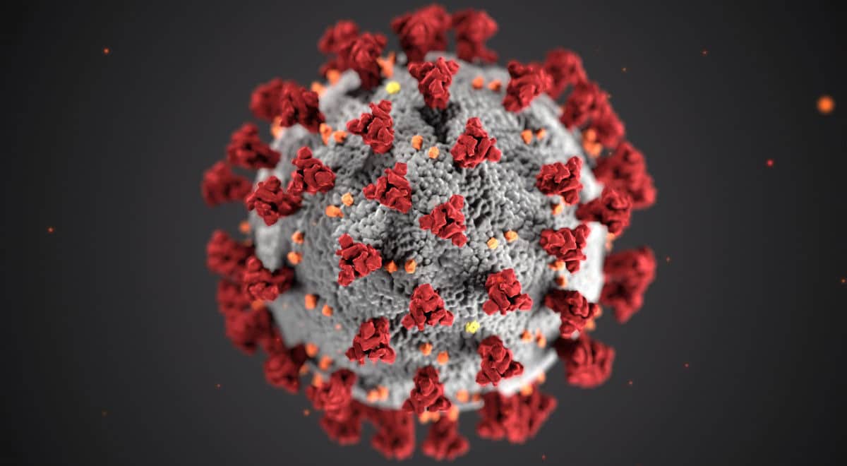 Coronavirus (COVID-19) 